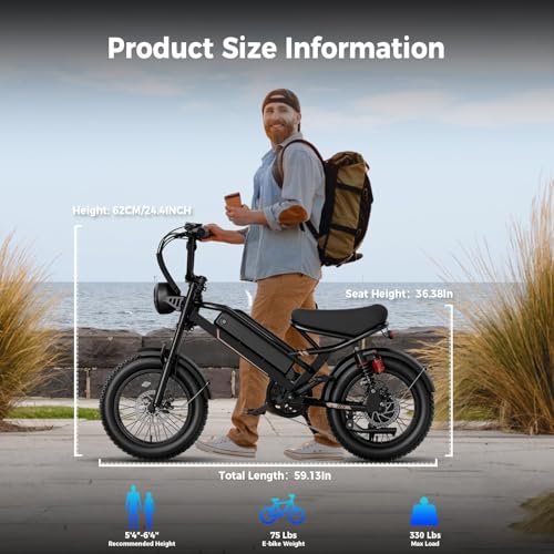 1500W 48V Removable Battery 16'' Fat Tire Full Suspension Electric Bike C5293