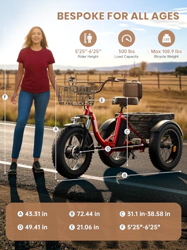 Electric Trike 20" Fat Tire 3 Wheel Folding Electric Tricycle R3621
