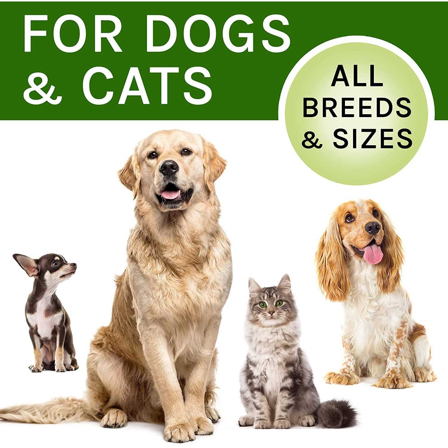 Kennel Cough Herbal Drops for Dogs & Cats U446
