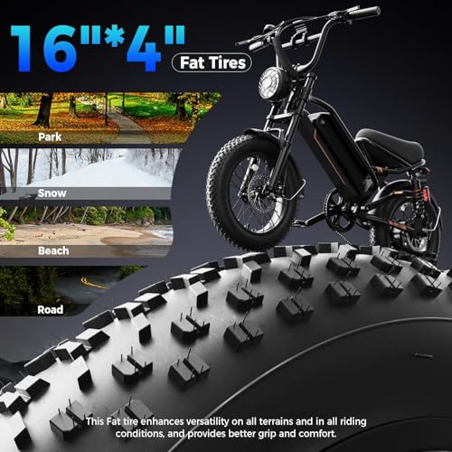 1500W 48V Removable Battery 16'' Fat Tire Full Suspension Electric Bike C5293