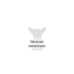 Grain Friendly Indoor Cat Food S9071