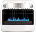30,000 BTU Propane Natural Gas Wall Heater, White M3860