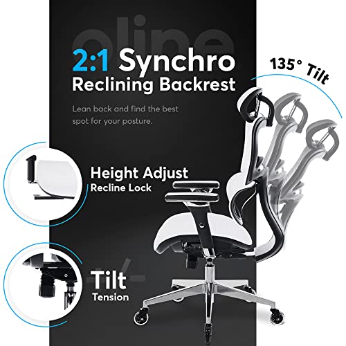 Ergonomic Office Chair with 4D Adjustable Armrest, Mesh (Black) Y871