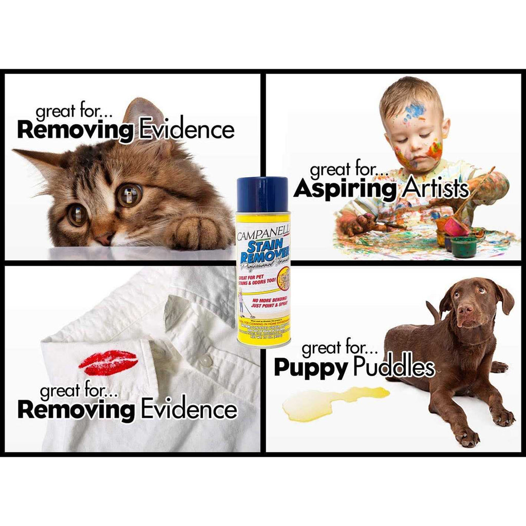 Stain Remover Pet Stain and Odor Eliminator I65718