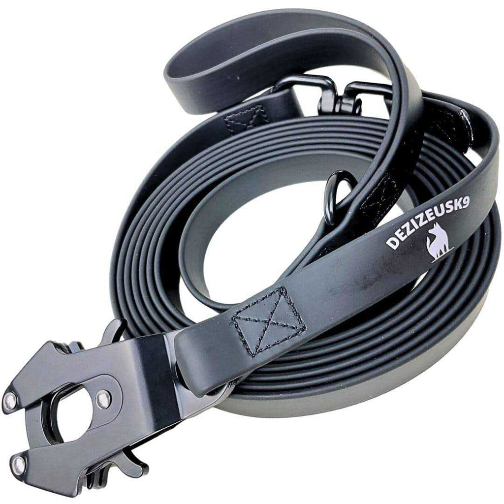 Heavy Duty Dog Leash with Quick Release Locking Carabiner Clasp N627