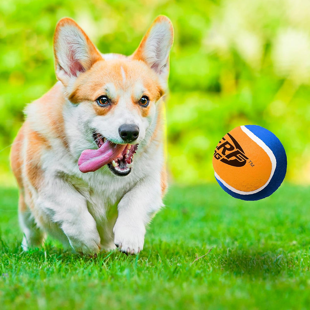 Tennis Ball Dog Toys, 3 Inches, Two Pack R852337