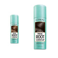 Light Brown and Dark Brown 2 oz. Gray Concealer Spray Bundle Y45261