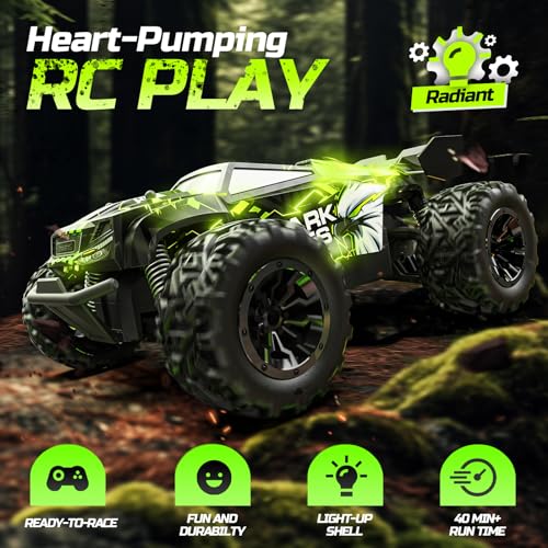 1:18 RC Monster Truck with 2 Batteries W92613