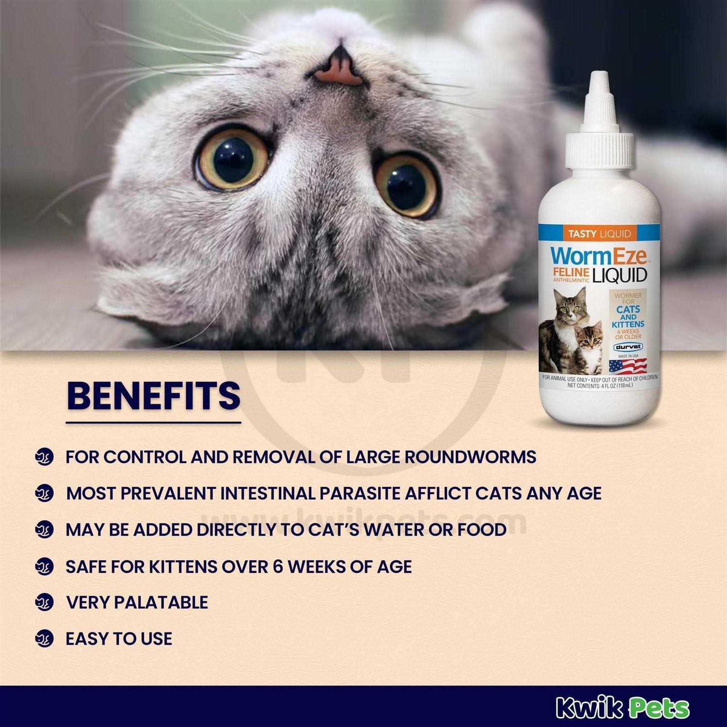 Feline Liquid X799259