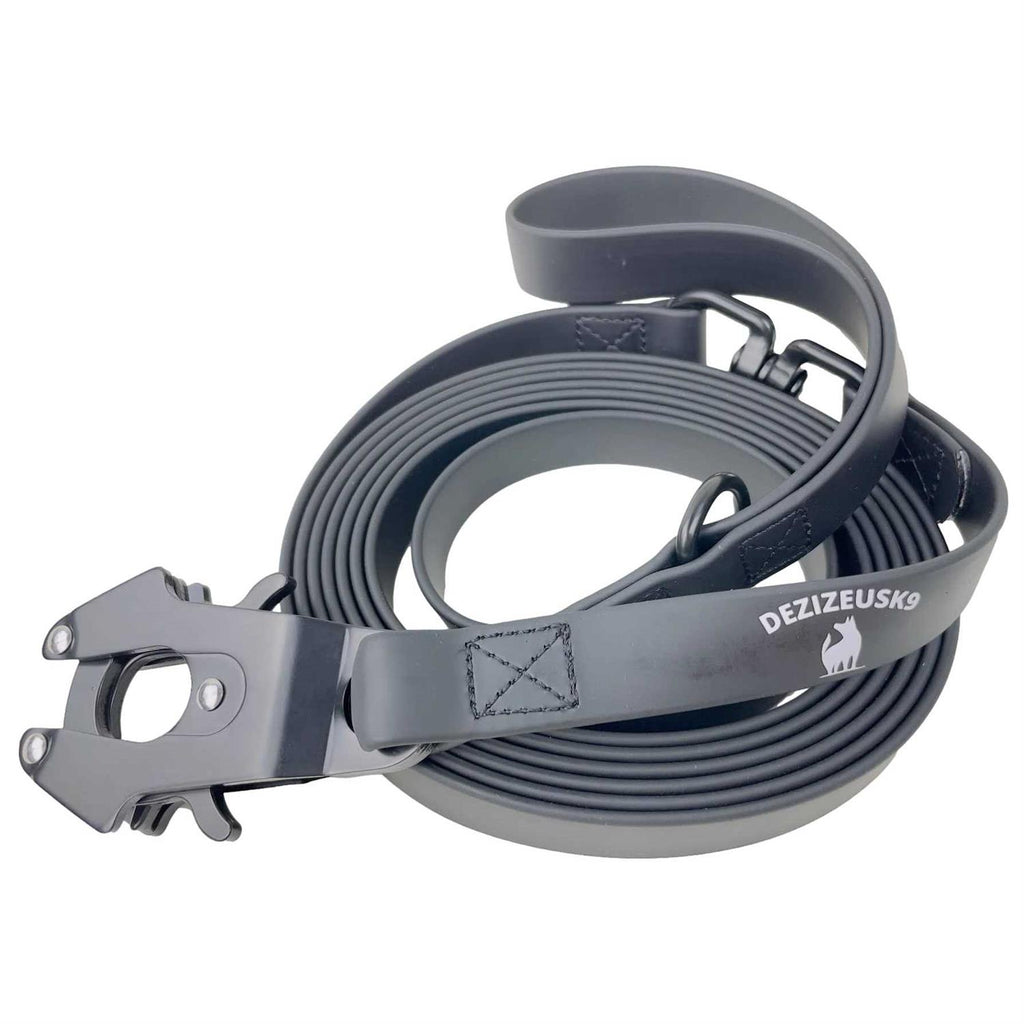 Heavy Duty Dog Leash with Quick Release Locking Carabiner Clasp N627