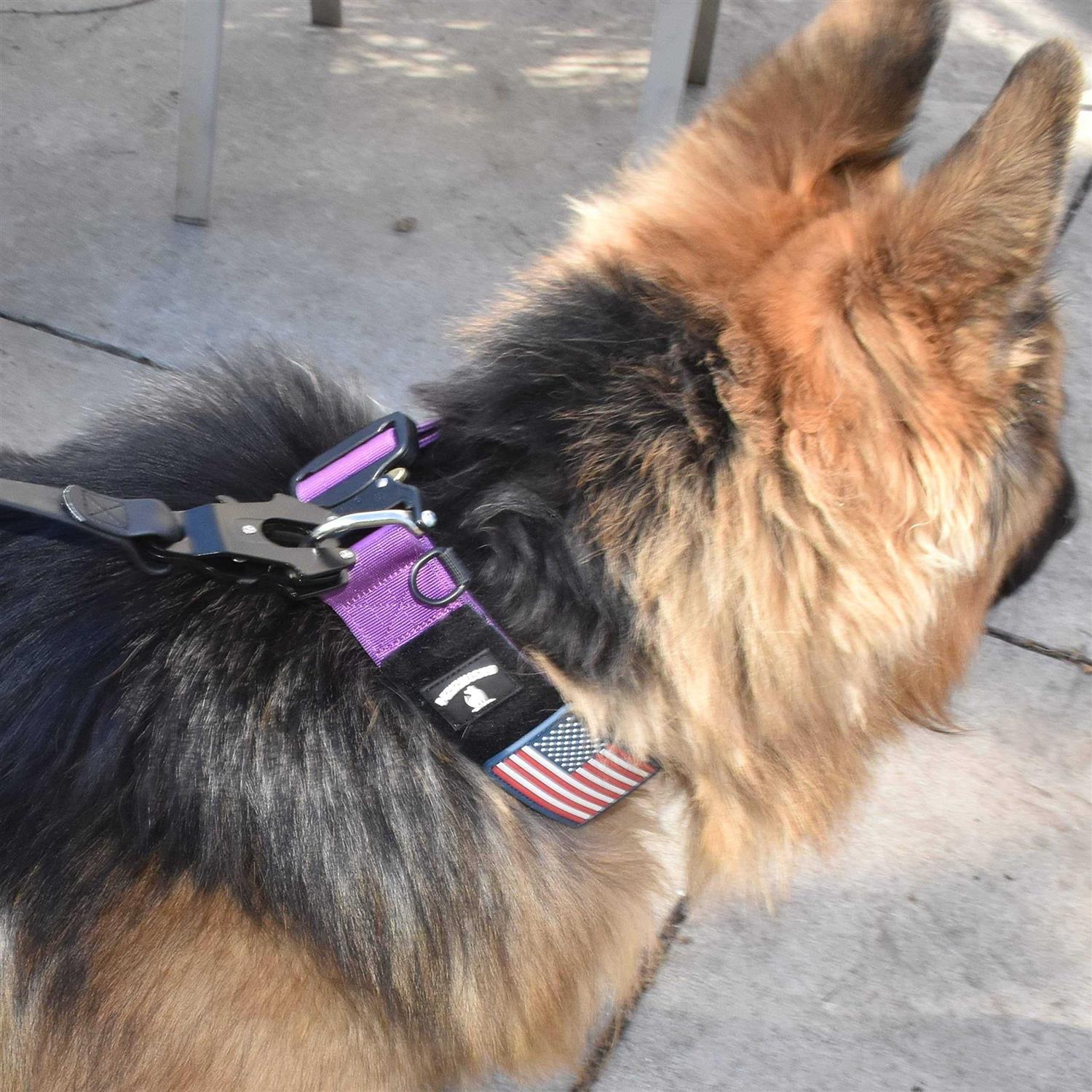 Heavy Duty Dog Leash with Quick Release Locking Carabiner Clasp N627