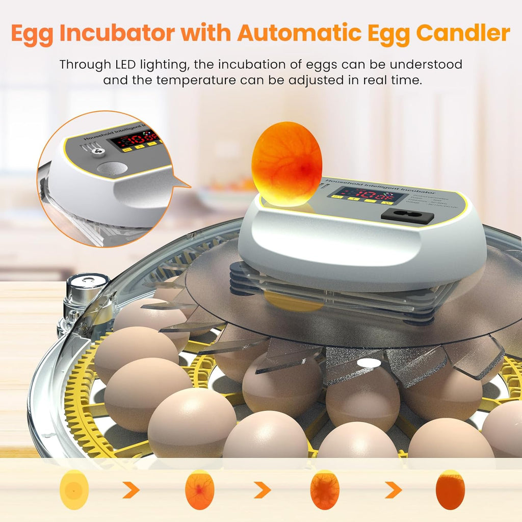 18-60 Eggs Incubator with Automatic Egg Turning and Auto Water Adding N953685