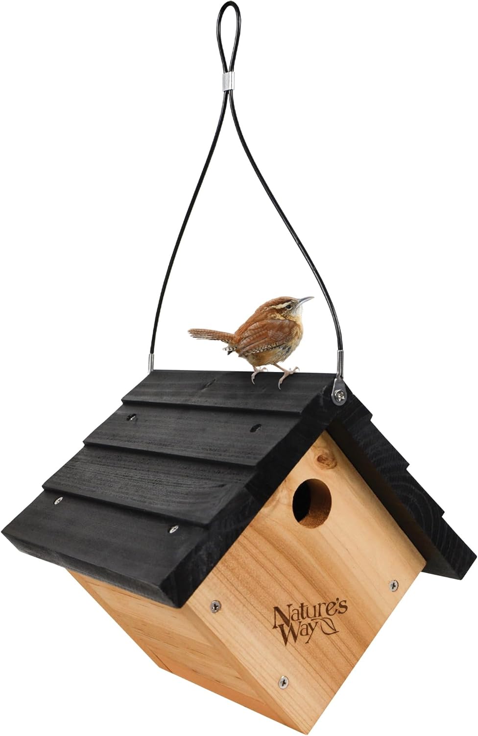 Cedar Wren House I671