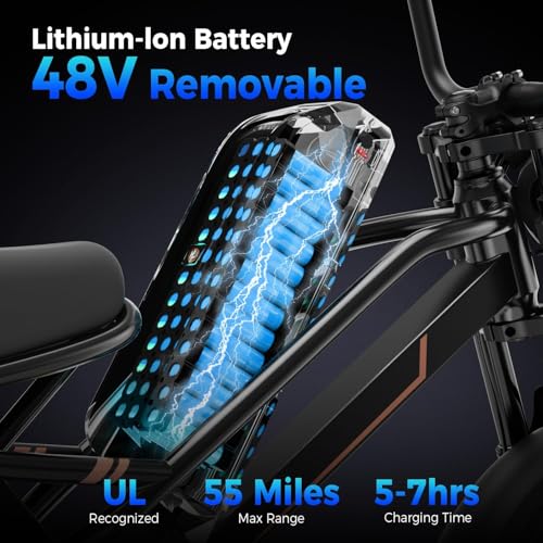 1500W 48V Removable Battery 16'' Fat Tire Full Suspension Electric Bike C5293