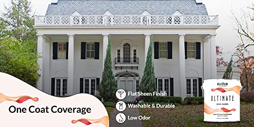 White Flat Interior Exterior Paint, 1-Gallon I91817