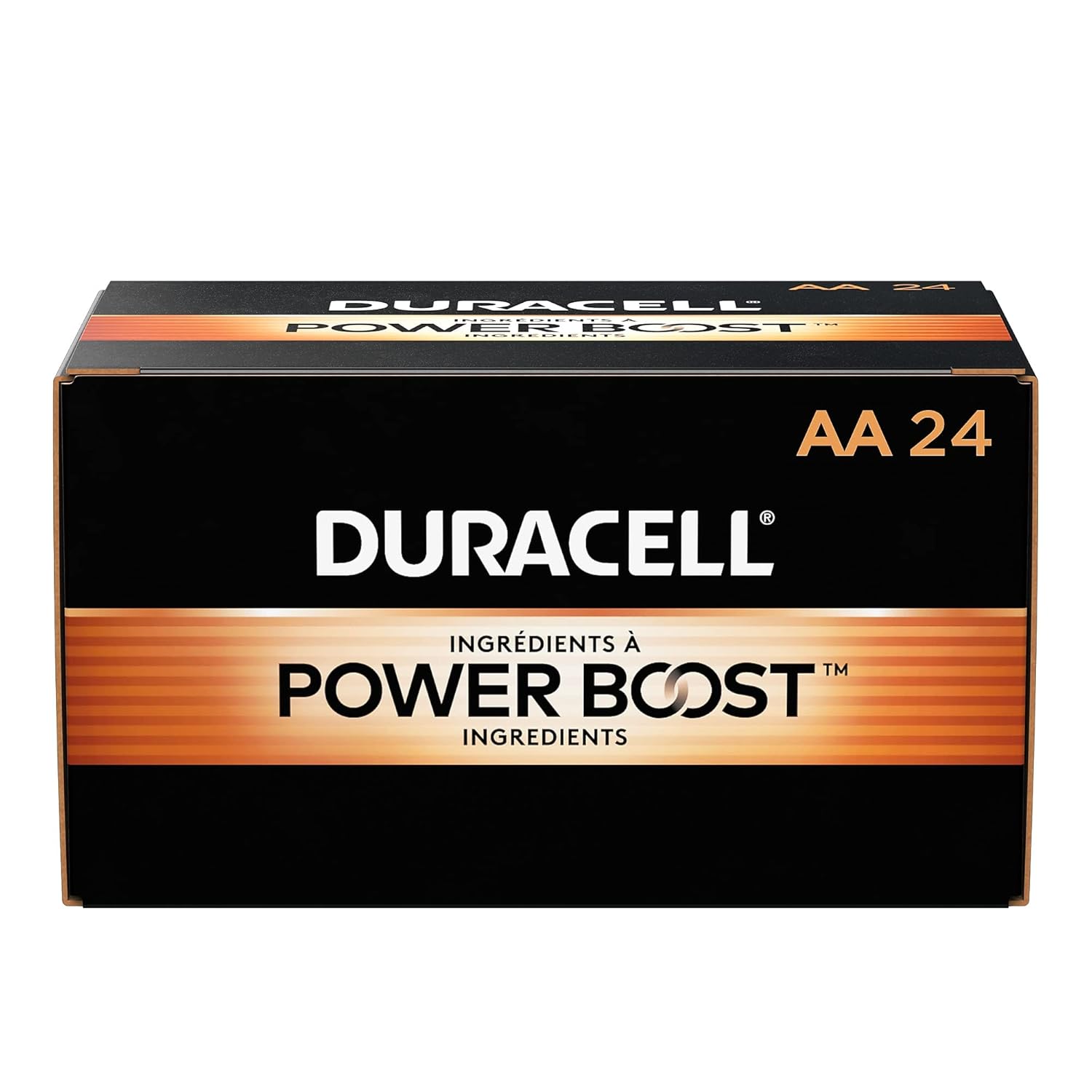 AA Alkaline Batteries 24/Pack M417