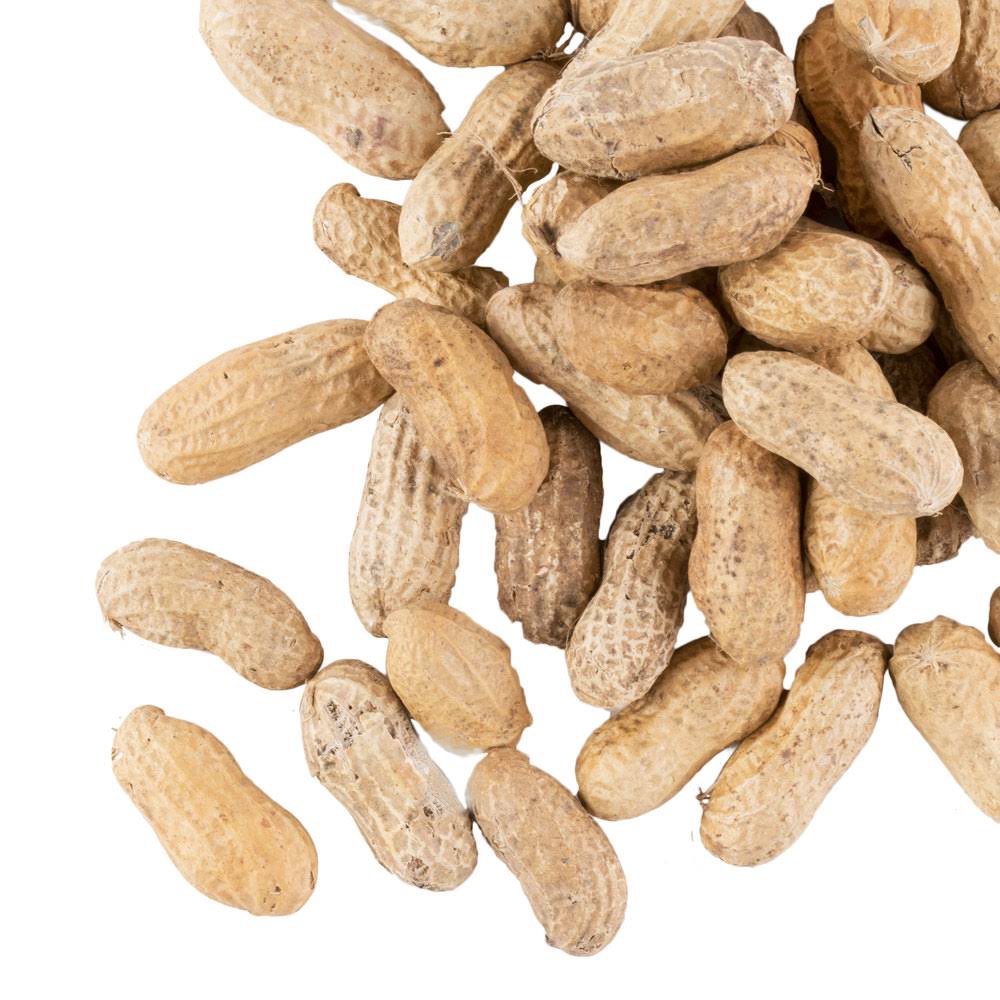 25 lb. Roasted Unsalted In-Shell Peanuts E5319