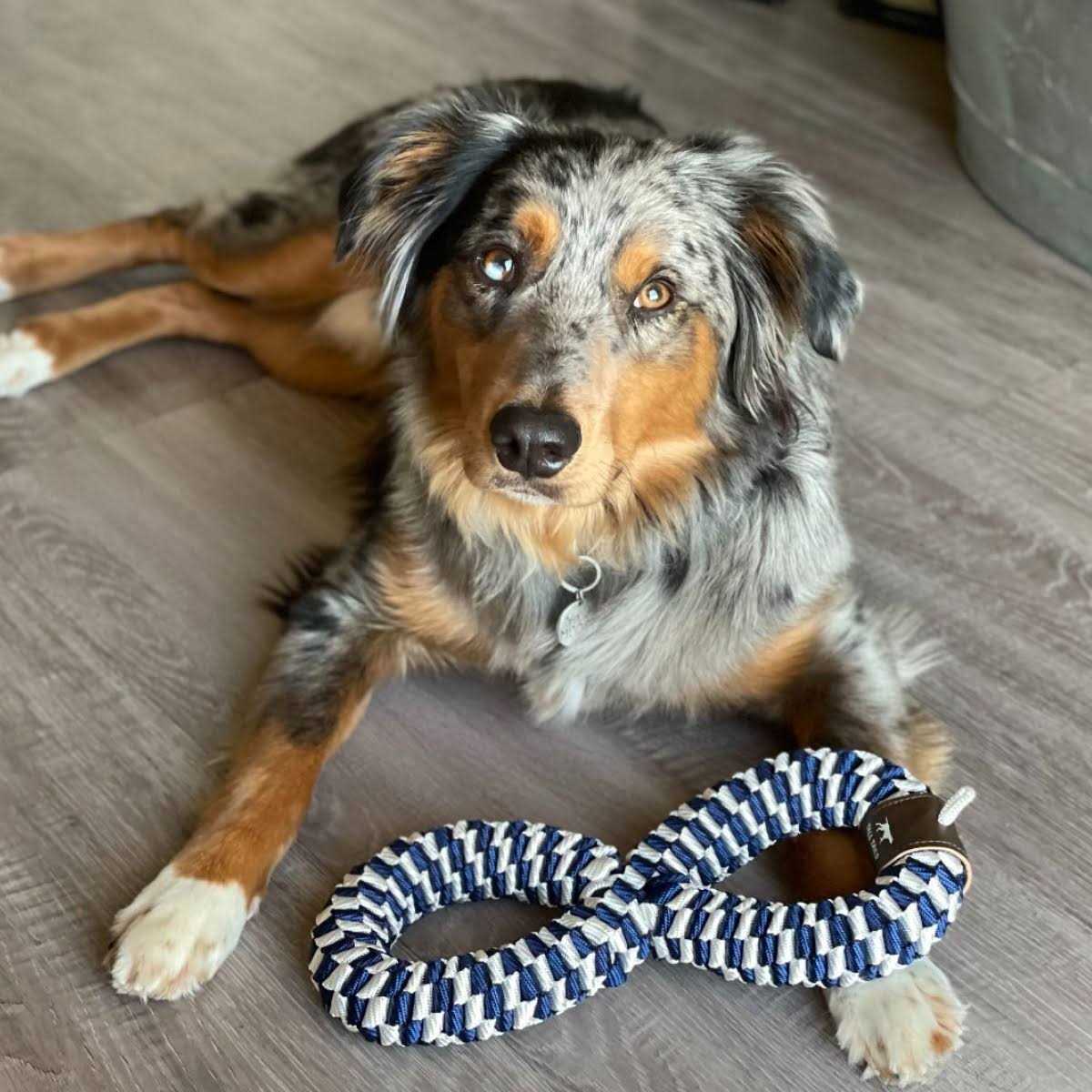 Braided Infinity Tug Toy Q4681