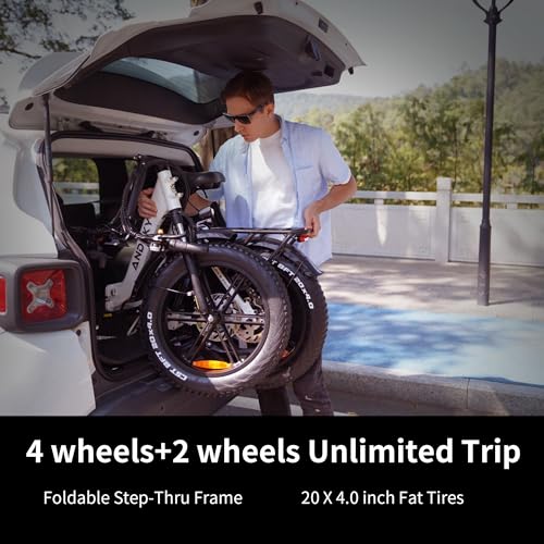 750W 48V 768WH Removable Battery Foldable 20''×4.0" Fat Tire Electric Bike S97090