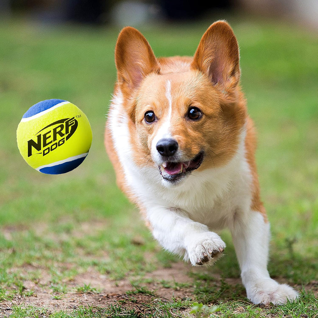 Tennis Ball Dog Toys, 3 Inches, Two Pack R852337
