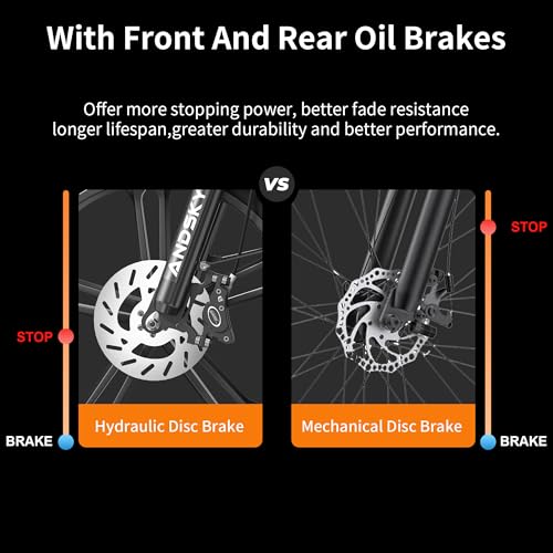 750W 48V 768WH Removable Battery Foldable 20''×4.0" Fat Tire Electric Bike S97090