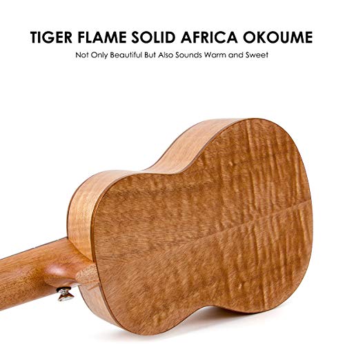 Soprano Ukulele 21 Inch Mahogany Starter Kit F962568