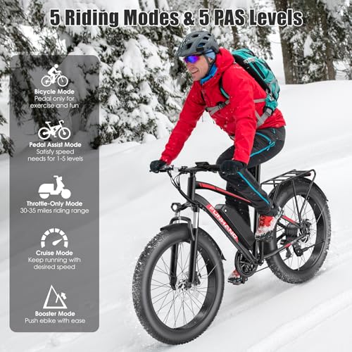 26" Fat Tire Electric Mountain Bike with 48V 13AH Battery Q380