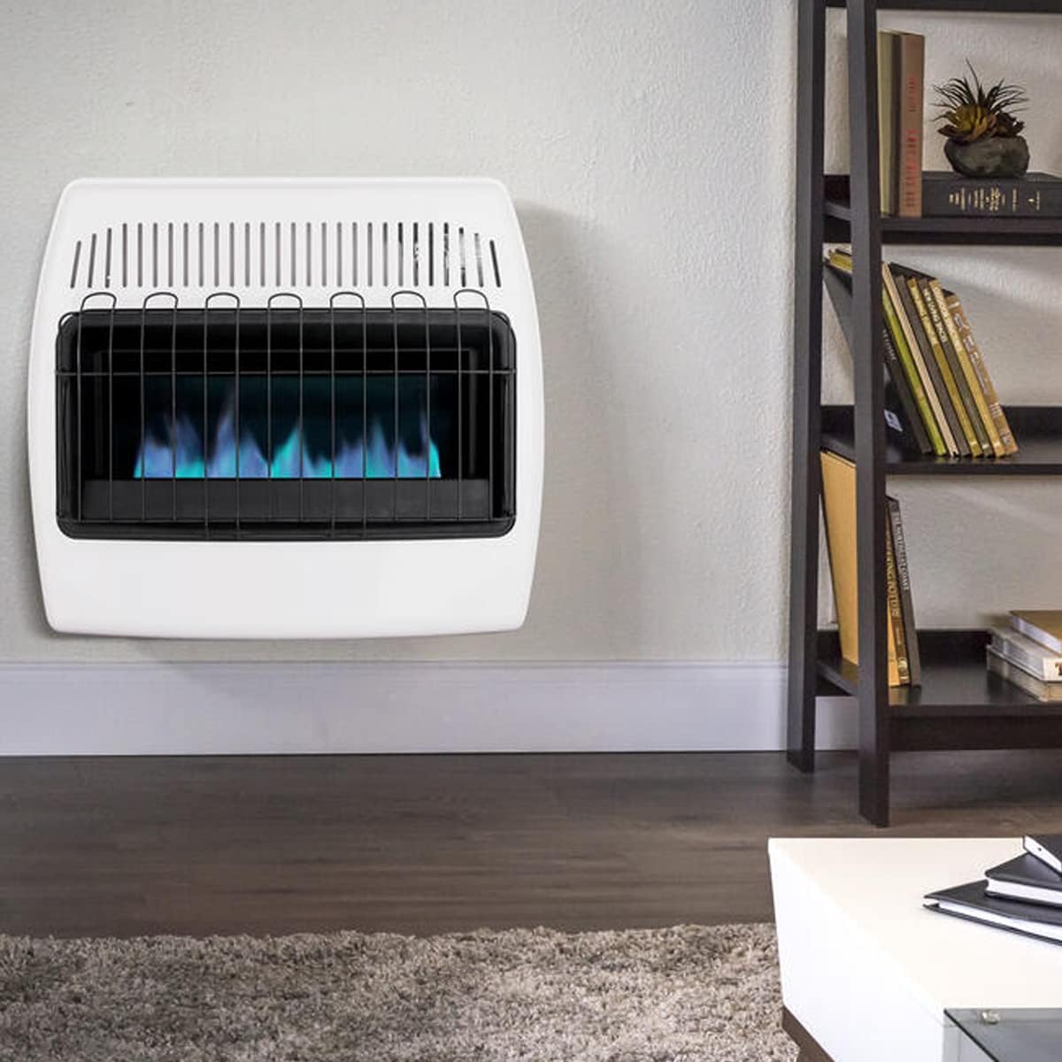 30,000 BTU Propane Natural Gas Wall Heater, White M3860