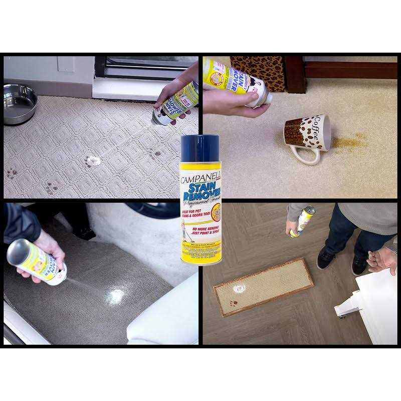 Stain Remover Pet Stain and Odor Eliminator I65718