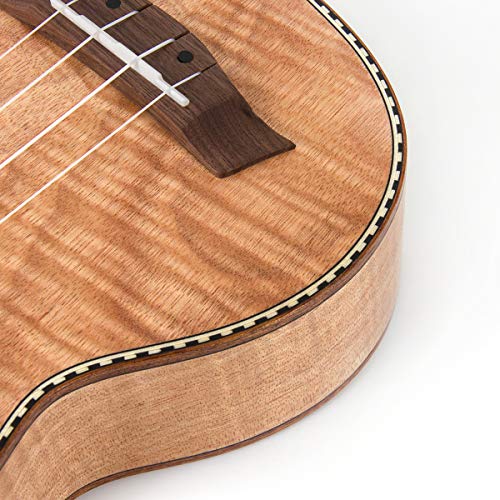 Soprano Ukulele 21 Inch Mahogany Starter Kit F962568