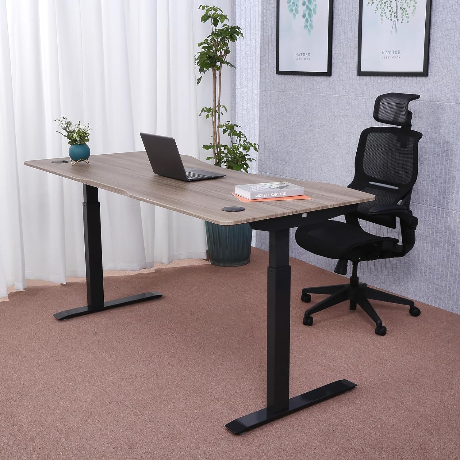 71" x 33" Electric Height Adjustable Desk with Curved Teak Top and Black Frame R880