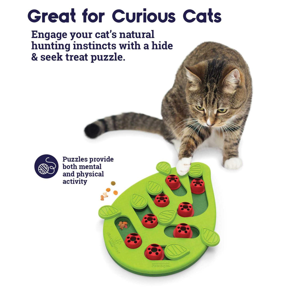 Cat Toy O65623