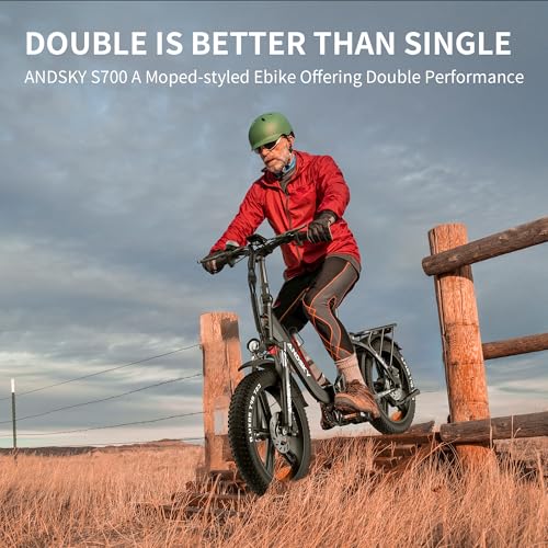 750W 48V 768WH Removable Battery Foldable 20''×4.0" Fat Tire Electric Bike S97090
