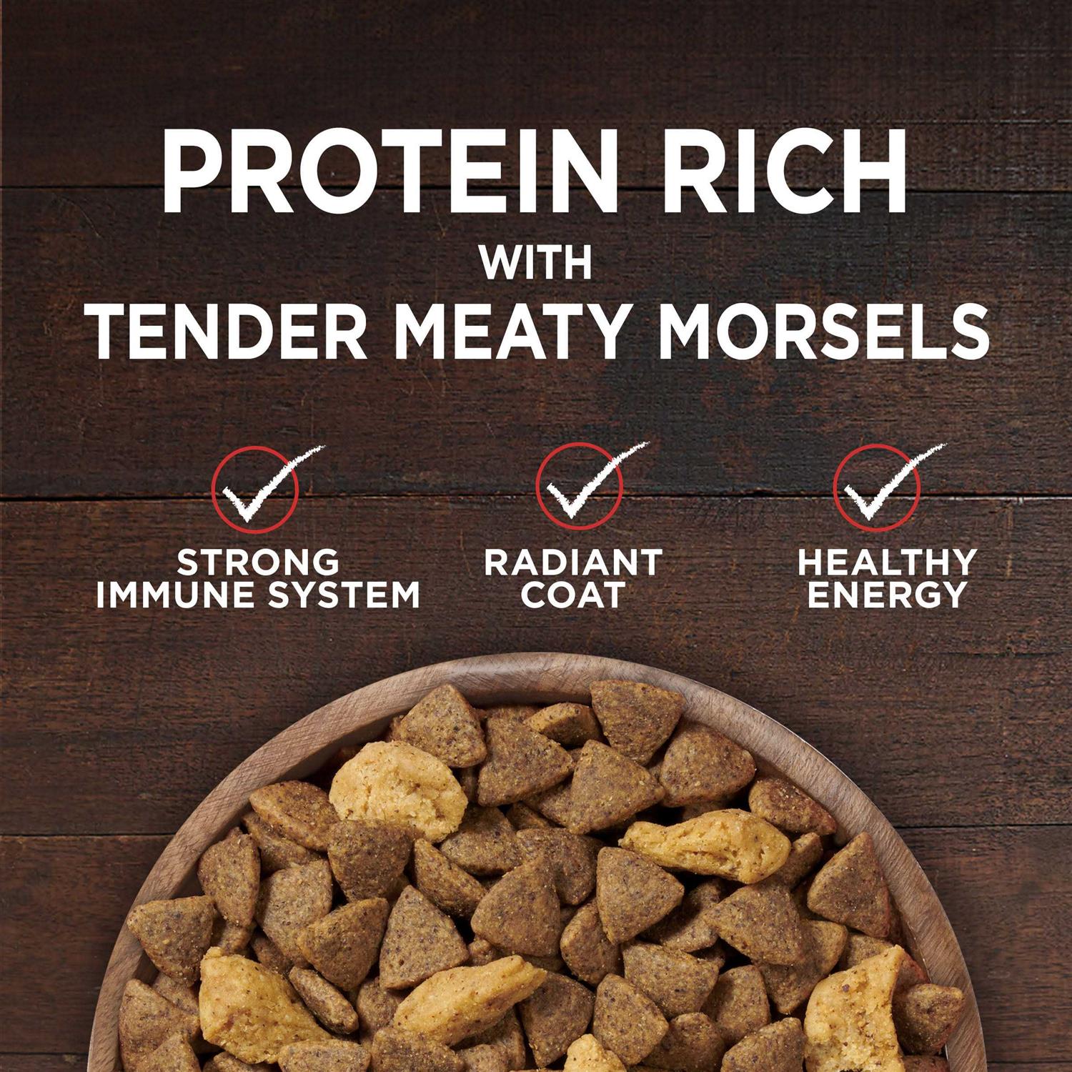 Grain Free Natural Dry Dog Food G258