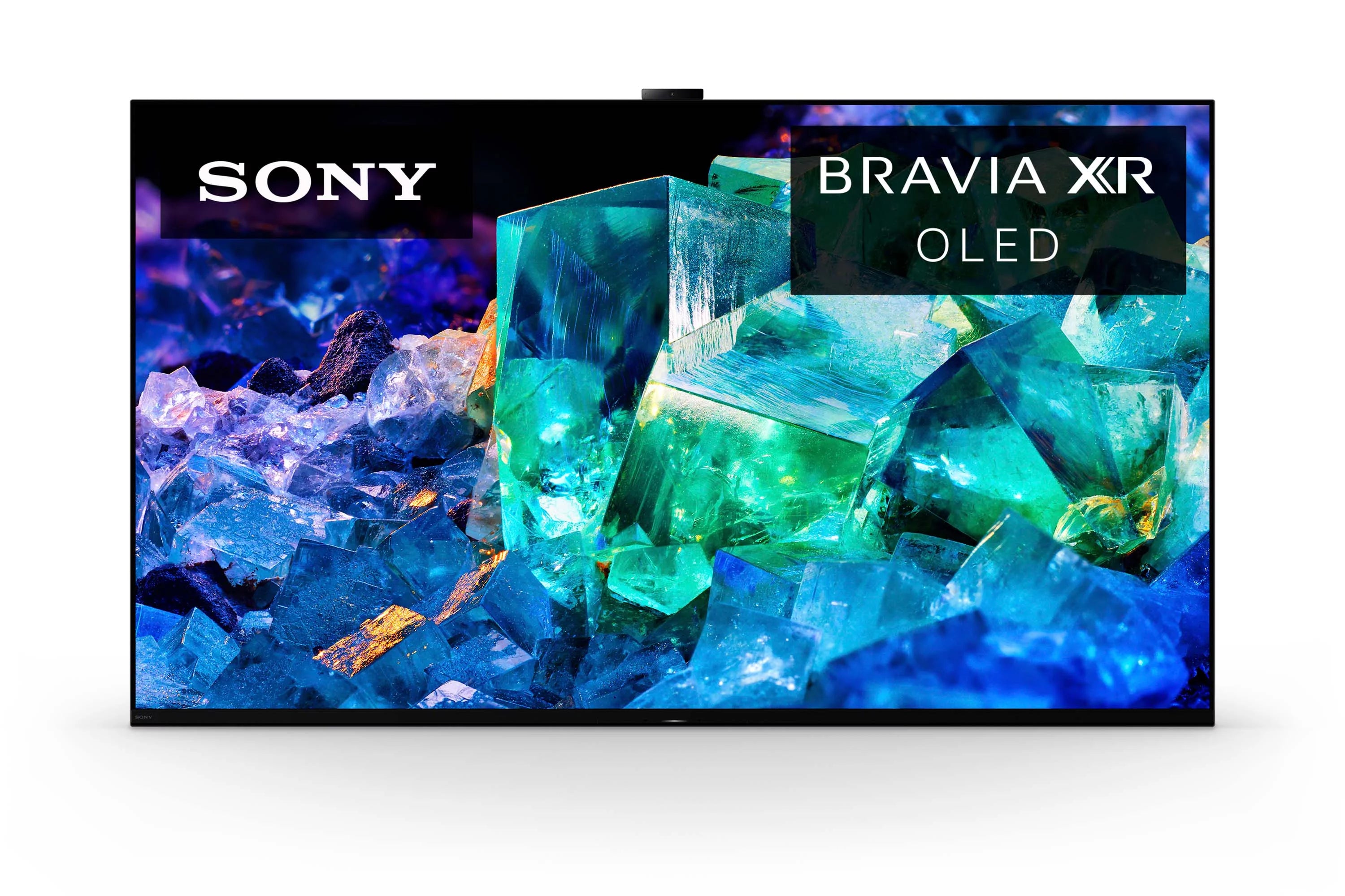 55” 4K HDR OLED TV with smart Google TV B260159