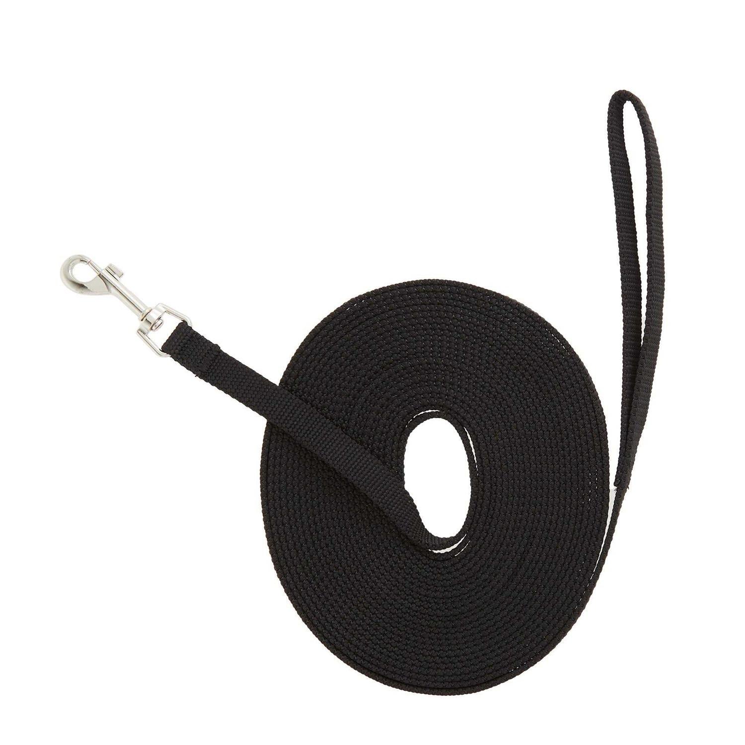 Training Dog Leash F748380