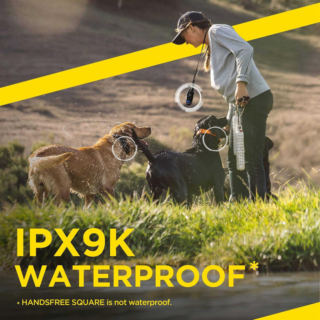 Handsfree Plus Pet Supplies R8001