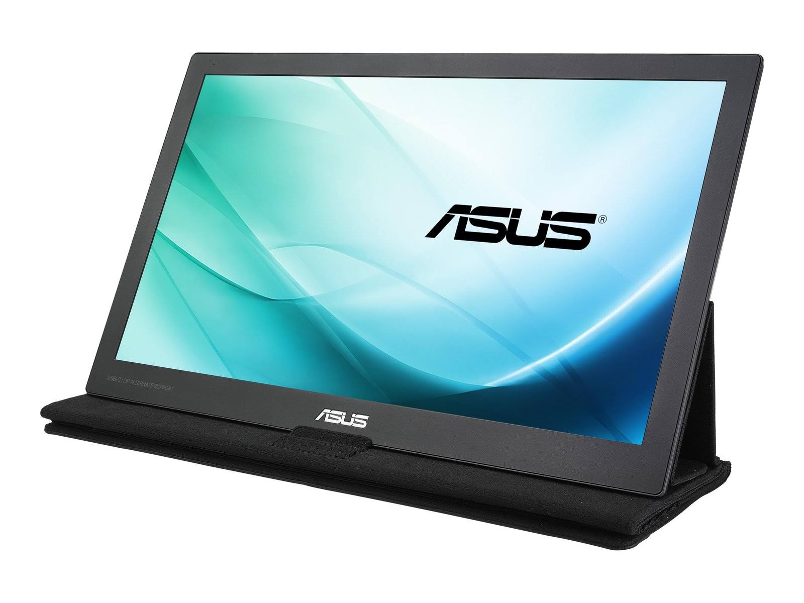 15.6x22 16:9 Portable IPS USB-Powered Monitor D714522