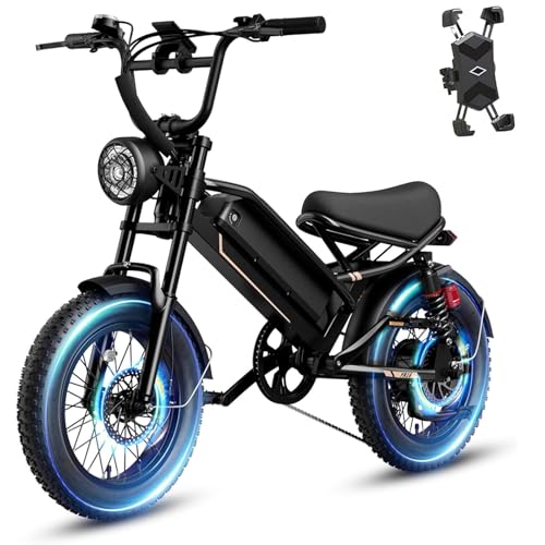 1500W 48V Removable Battery 16'' Fat Tire Full Suspension Electric Bike C5293