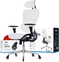 Ergonomic Office Chair with 4D Adjustable Armrest, Mesh (Black) Y871