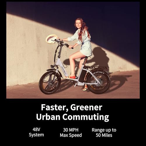 750W 48V 768WH Removable Battery Foldable 20''×4.0" Fat Tire Electric Bike S97090