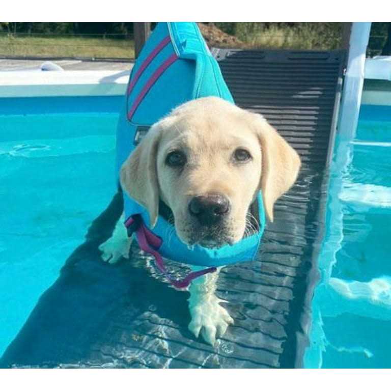 Pool Bundle U92427