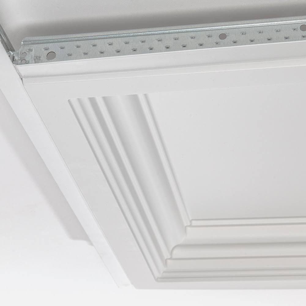24-in x 24-in White Drop Panel Ceiling Tiles F412506