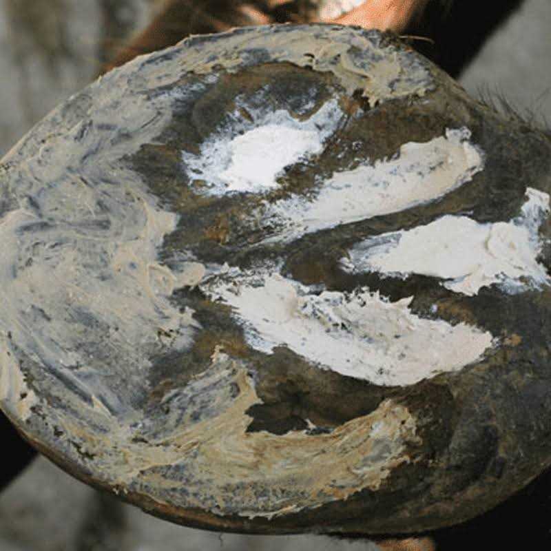 Hoof Clay 750g P29769