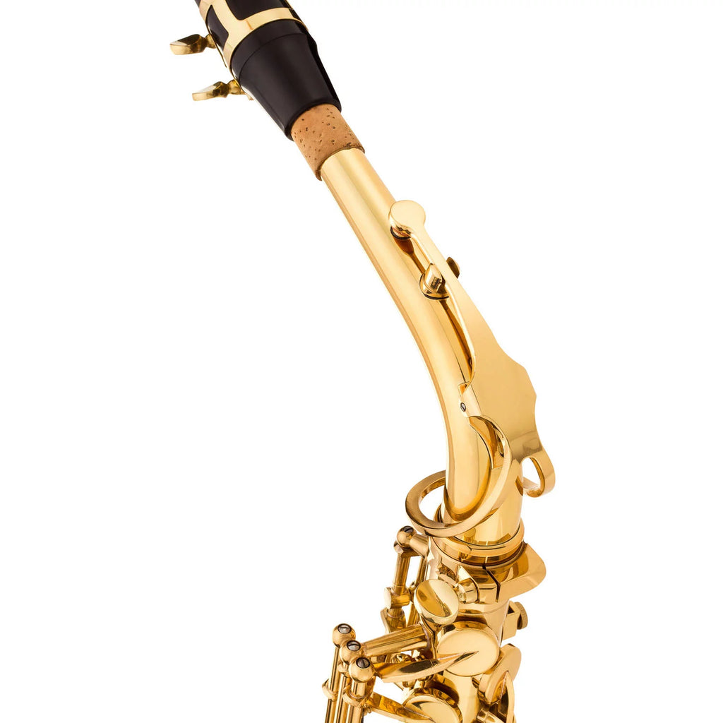 Intermediate Alto Saxophone with Case O794