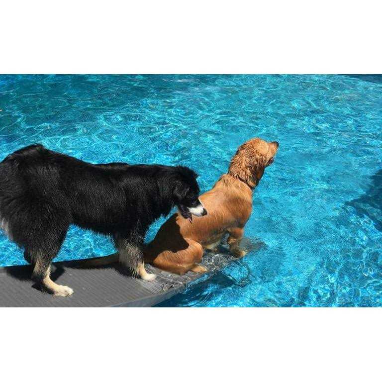 Pool Bundle U92427