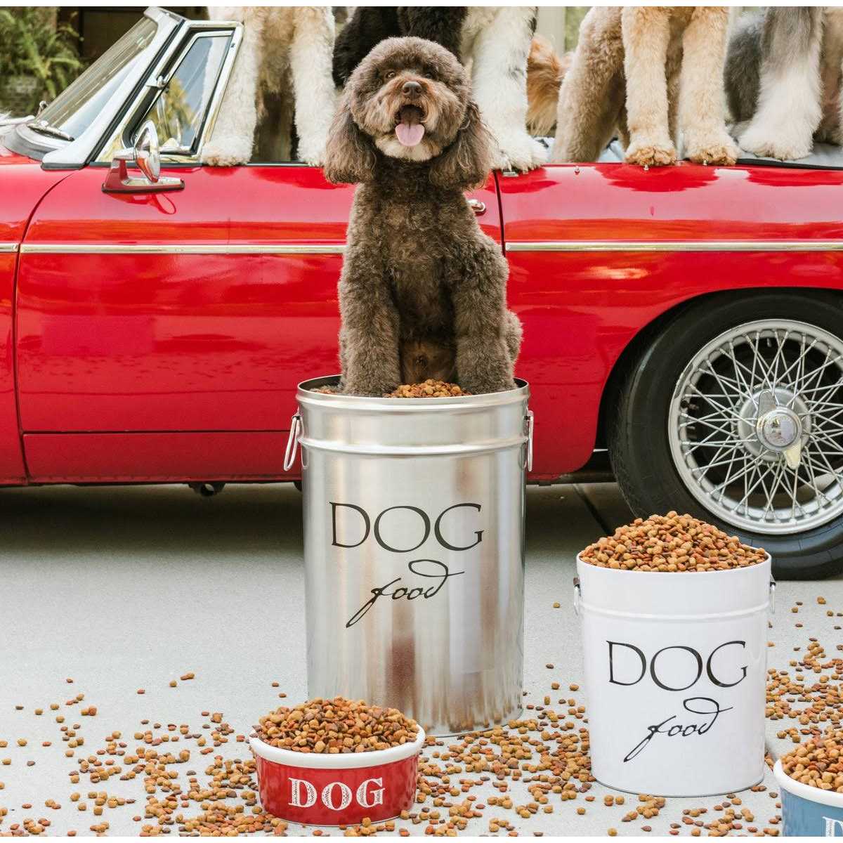 Classic Dog Food Storage Canister T862