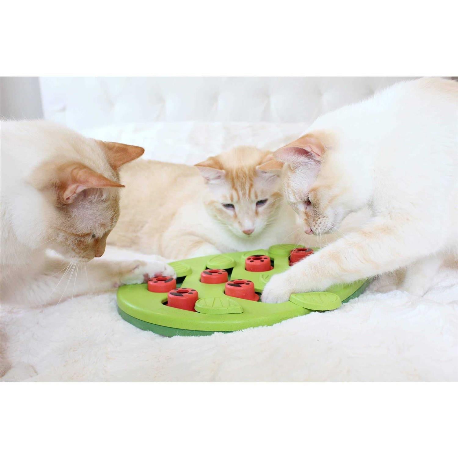 Cat Toy O65623