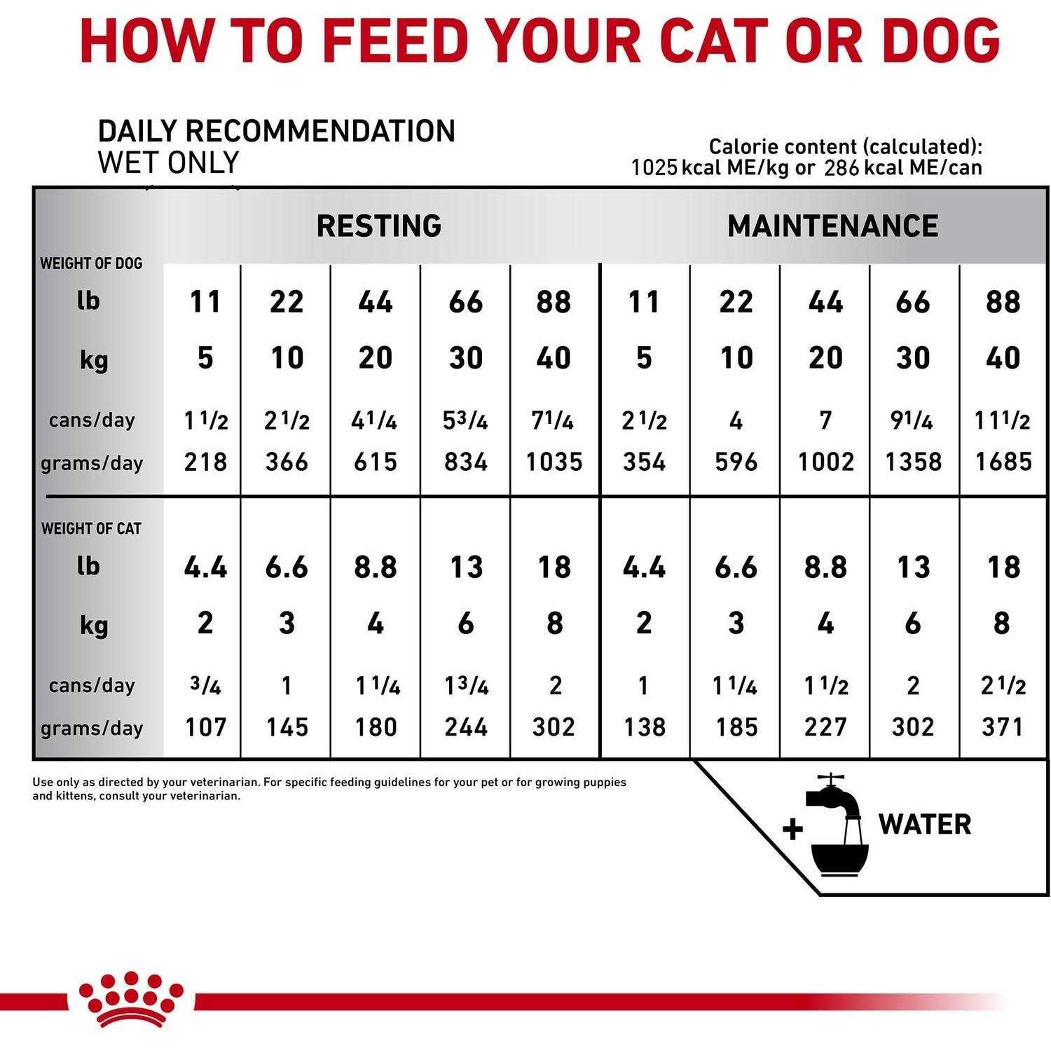 Recovery Ultra Soft Mousse in Sauce Wet Dog & Cat Food B5398