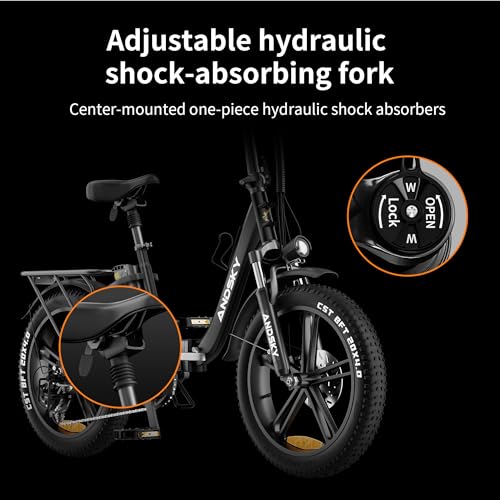 750W 48V 768WH Removable Battery Foldable 20''×4.0" Fat Tire Electric Bike S97090